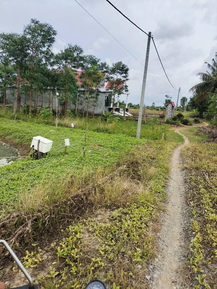 Đất Farm 6000m² Ngọc Tố, Mỹ Xuyên chỉ 370 triệu - Cơ hội đầu tư lý tưởng!