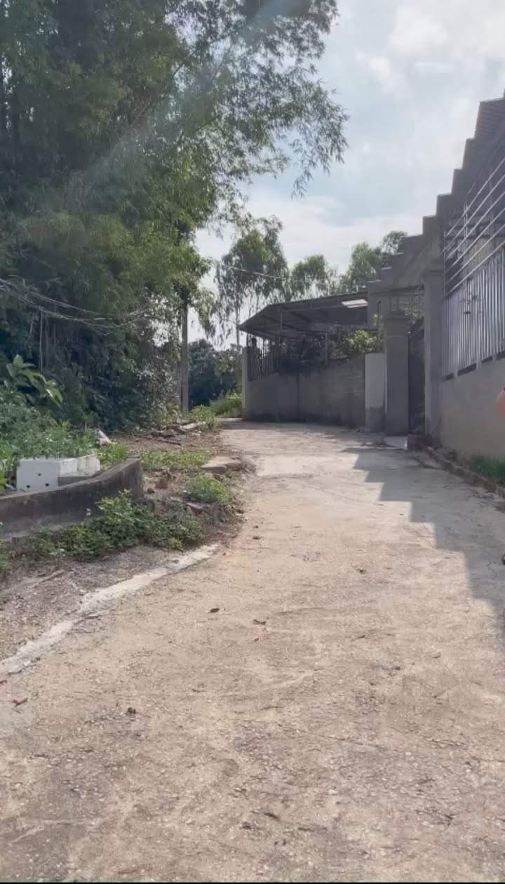 Đất thổ cư ngõ 64 Bãi Dài, Quảng Yên 86m² giá 700 triệu - Ô tô vào tận nơi!