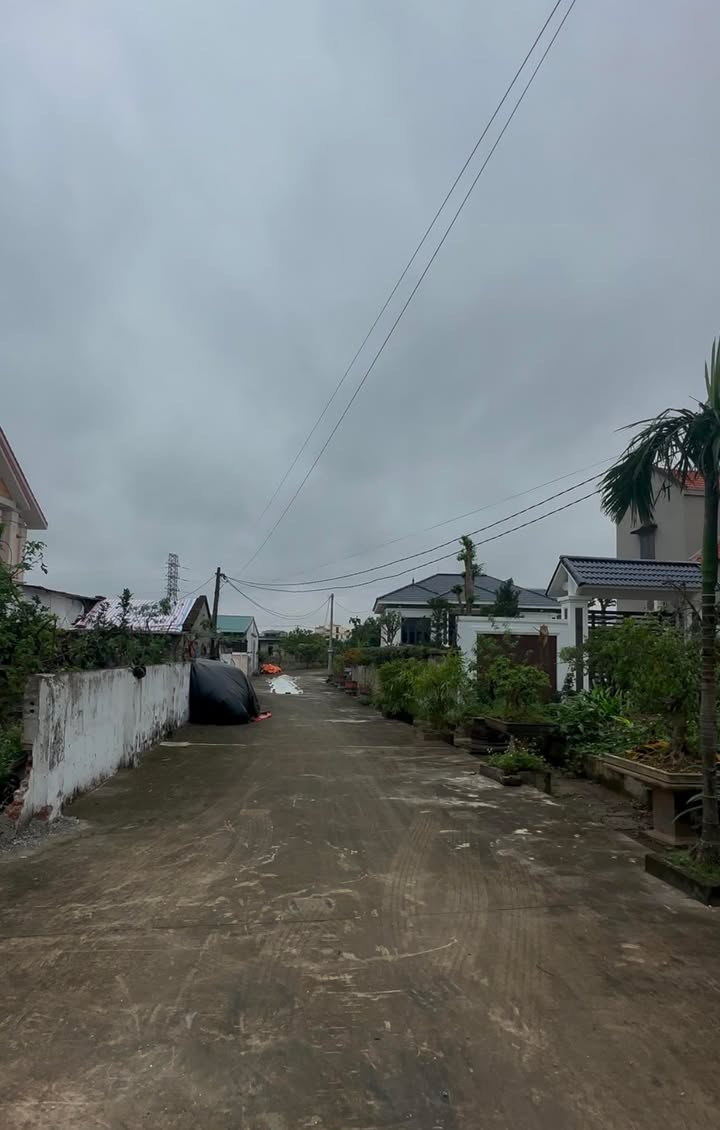 Đất nền Yên Khánh Ninh Bình 450m² - Giá thỏa thuận chính chủ, vị trí đắc địa!