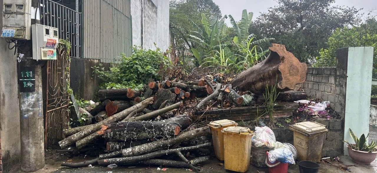 Đất chính chủ Phường Quảng Thành, TP Thanh Hóa 185m² giá 2.2 tỷ - Đường 3.6m, khu dân cư hiện hữu!