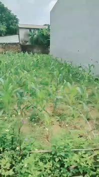 Đất nền Tích Lương, Thái Nguyên 100m² giá 1.2 tỷ - Đầu tư sinh lời ngay!