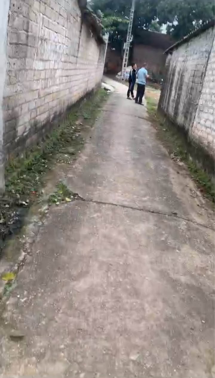 Đất thổ cư 240m² tại xã Tiên Lục, Bắc Giang - Sổ đỏ chính chủ, giá tốt