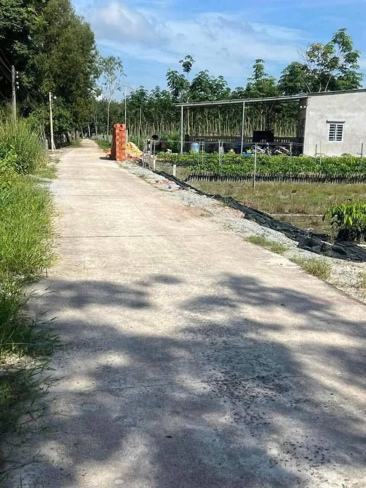 Đất nền chính chủ Minh Long 250m² giá chỉ 4xx triệu - Cơ hội đầu tư hấp dẫn!