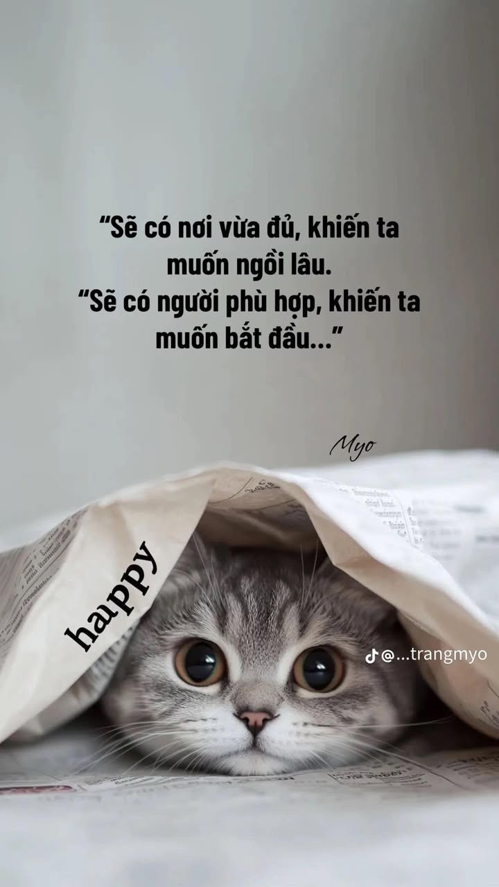 Đất thổ cư Đắc Sơn Phổ Yên 600m² giá chỉ 1.5 tỷ - Cơ hội đầu tư tuyệt vời!