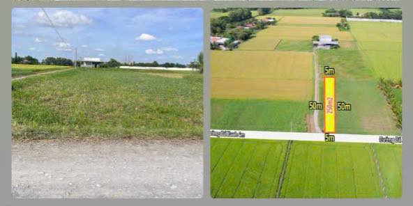 Đất thổ vườn Hòa Khánh Đức Hòa 250m² giá 799 triệu - Cơ hội đầu tư tuyệt vời!