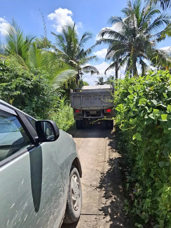 Đất thổ cư 1000m² đường ô tô tại An Vĩnh Ngãi, Tân An - Giá 1.5 tỷ TL!