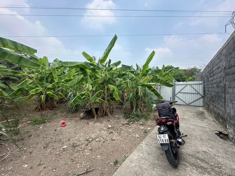 Đất nền 273m² tại ấp 5 Nhị Thành, Thủ Thừa - Giá chỉ 750 triệu, thương lượng!