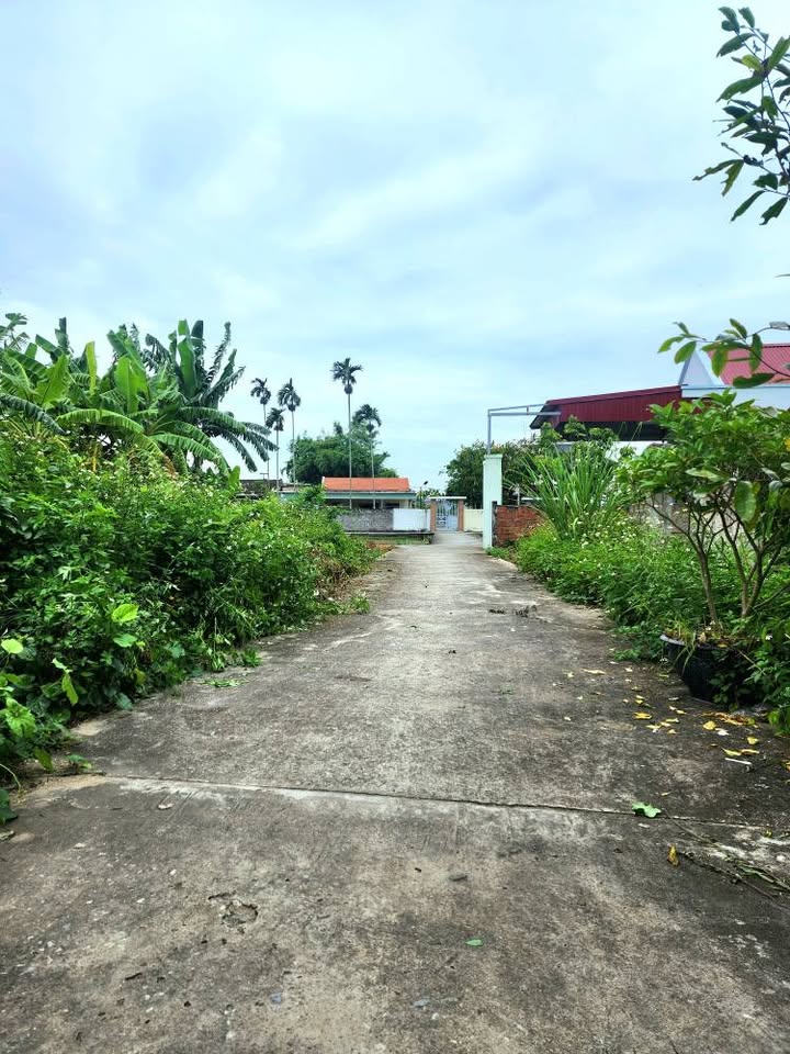 Đất ngõ thông Đông Hoa, Thủy Nguyên 105m² giá 2 tỷ - Cơ hội đầu tư hấp dẫn!