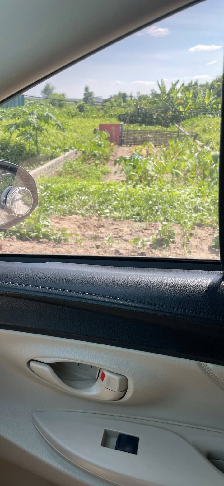 Đất nền bán gấp tại đường 405 Liên Huyện, Kiến Thụy, 150m² - Đầu tư sinh lời hấp dẫn!