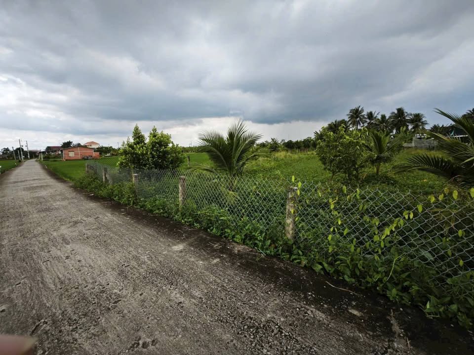 Đất thổ cư xã Vàm Cỏ, Tân Trụ 1000m² giá 1.6 tỷ - Đầu tư lý tưởng!