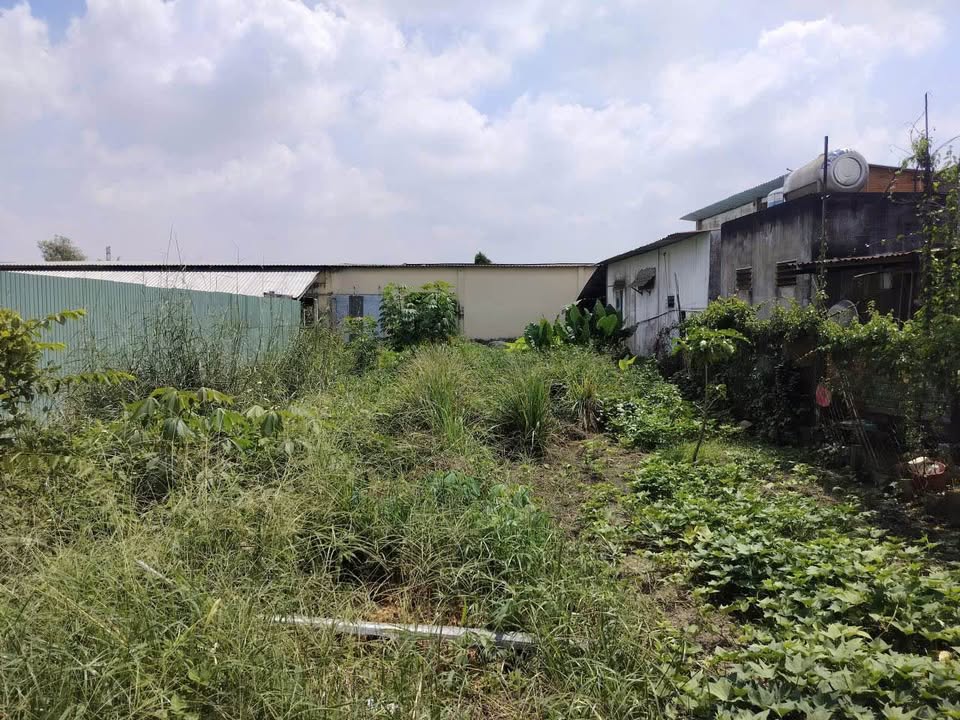 Đất nền Tân Phú Trung Củ Chi 220m² giá 1.5 tỷ - Cơ hội đầu tư lý tưởng!