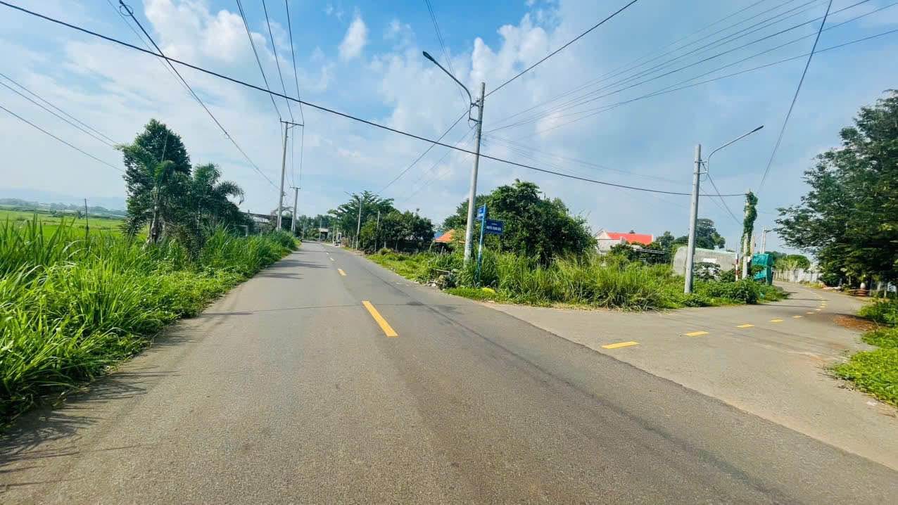 Đất mặt tiền Nguyễn Thành Liêm, Đất Đỏ 298.8m² giá 2.05 tỷ - Sẵn sàng sở hữu ngay!