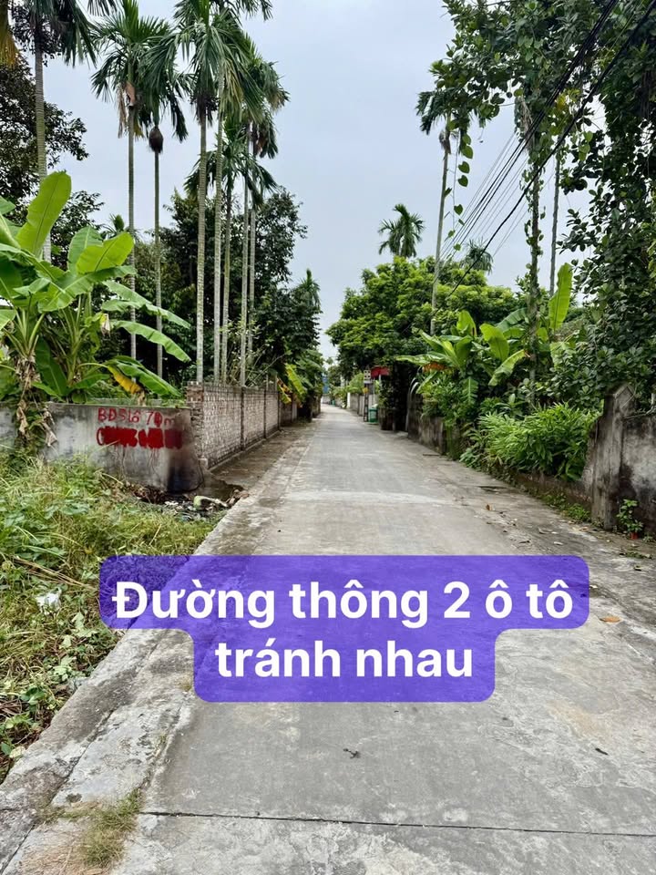 Đất nền tại phường An Dương, Hải Phòng 76.6m² giá 1.6 tỷ - Sổ đỏ chính chủ