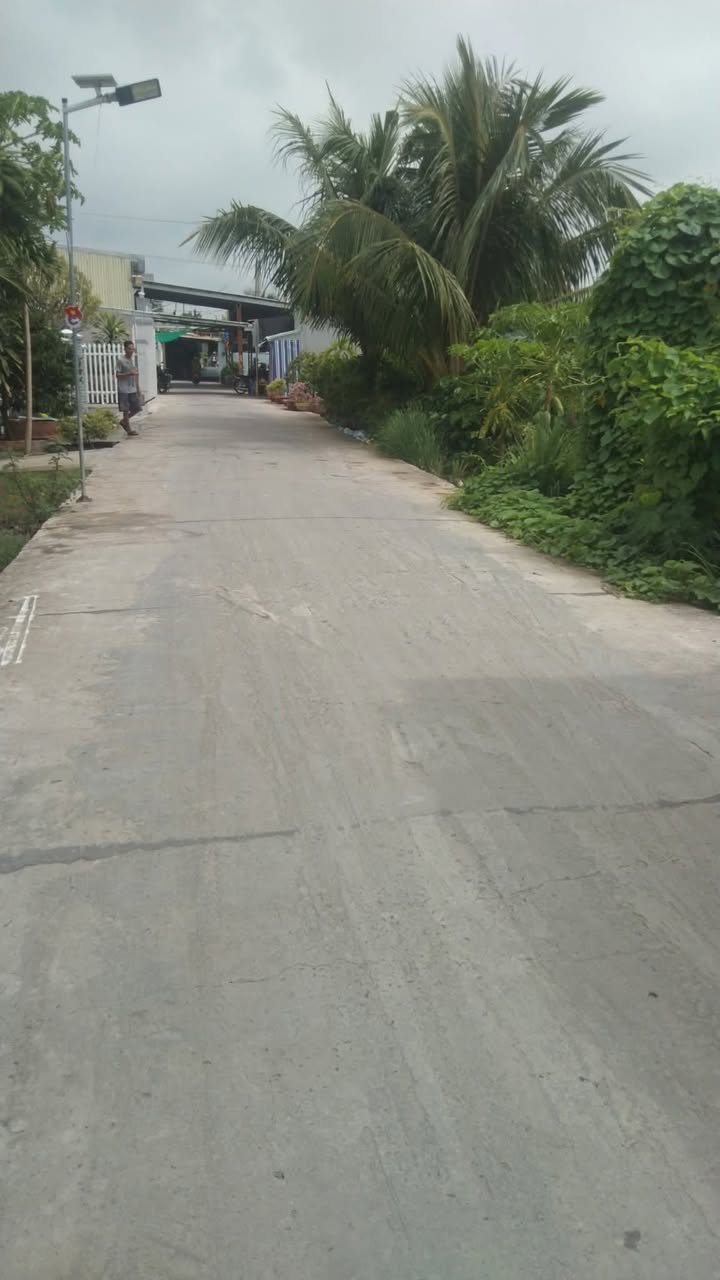 Nhà đất Ấp Quy Lân 6, Thạnh Quới, 100m² chỉ 1.05 tỷ - Đường ô tô, gần chợ