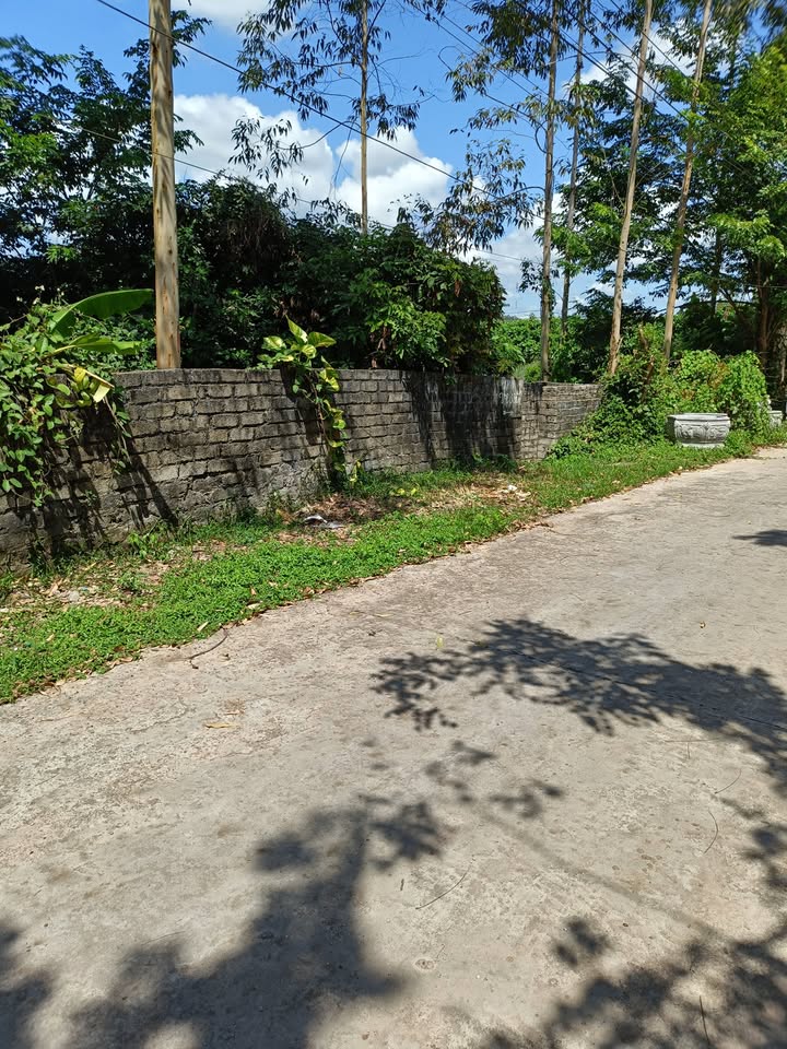 Đất nền Bố Hạ 1400m² giá thỏa thuận - Nằm gần sông, dân cư đông đúc!