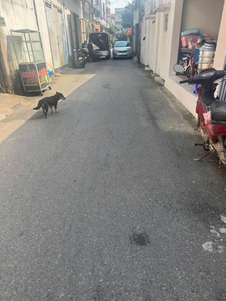 Đất hẻm ô tô đường 30-4, phường 11, TP Vũng Tàu 100m² - Đầu tư sinh lời hấp dẫn!