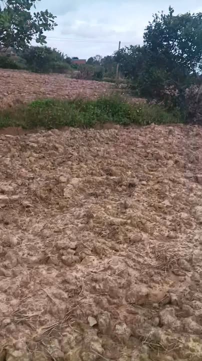 Đất Farm 1,1 hecta tại Ea Ô, Đắk Lắk chỉ 1,3 tỷ - Cơ hội đầu tư hấp dẫn!