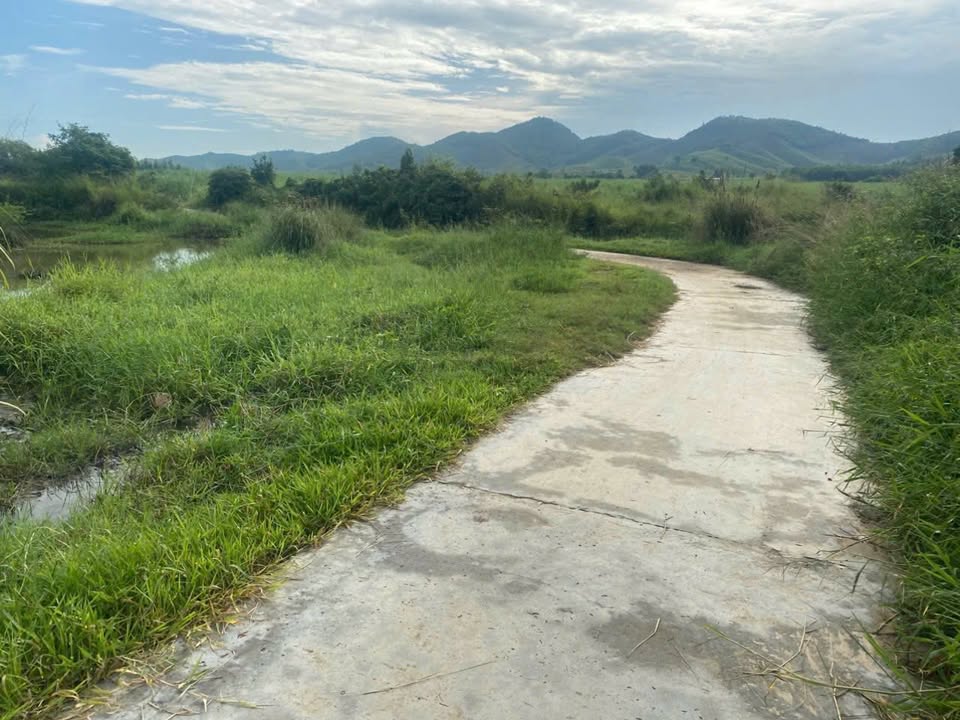 Đất nền Tân Mỹ, Tân Định 939m² giá chỉ 139 triệu - Cơ hội đầu tư sinh lời!