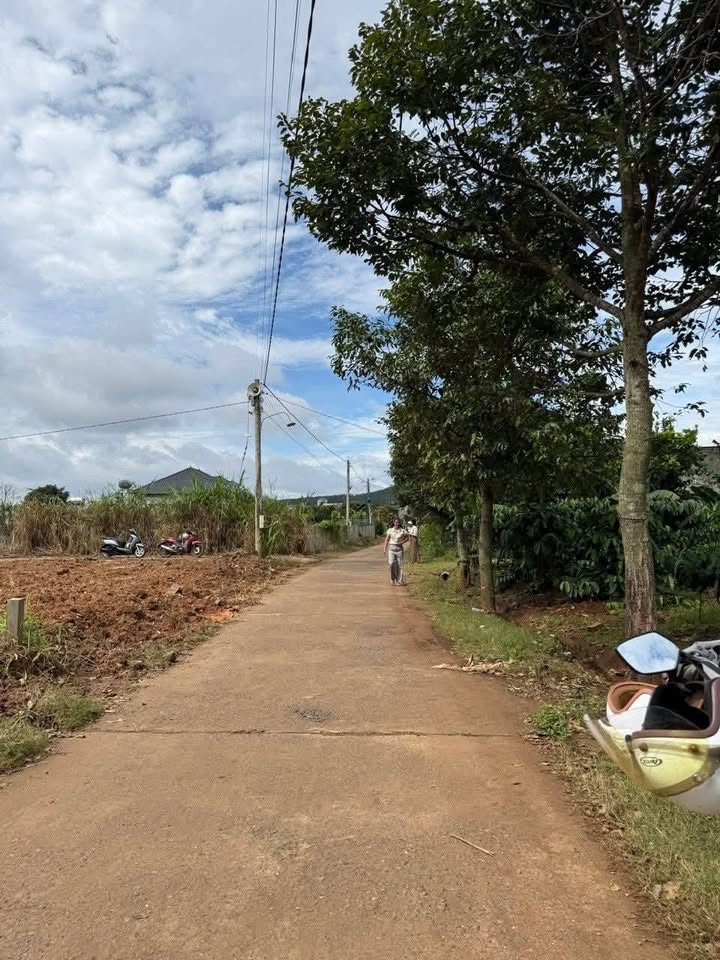 Đất nền xã Nam Ban, Lâm Hà 2880m² giá 3.2 tỷ - Đầu tư sinh lời ngay!