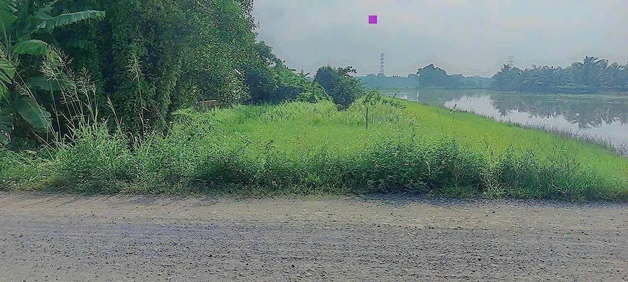 Đất vườn Củ Chi 928m² giá 2.7 tỷ - Đường xe hơi vào tận nơi!