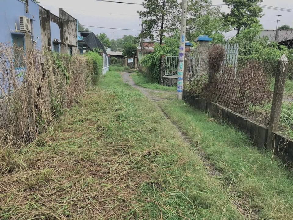 Đất thổ cư Tân Thạnh Đông Củ Chi 552m² giá 4.5 tỷ - Cơ hội đầu tư sinh lời!