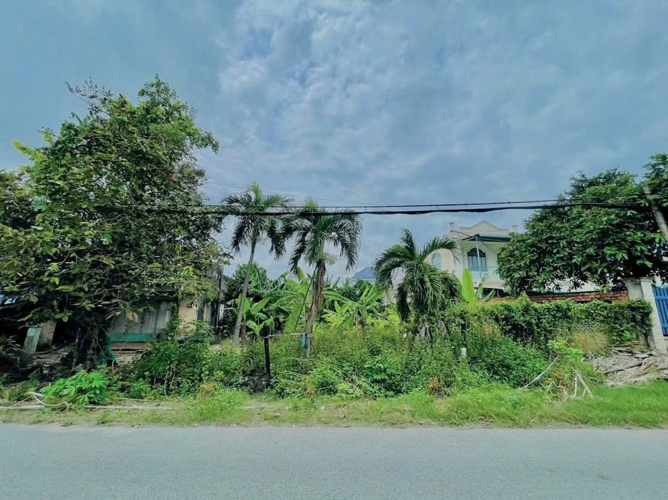 Đất nền Phước Vĩnh An, Củ Chi 1316m² giá 15.5 tỷ - Quy hoạch đất ở hiện hữu!