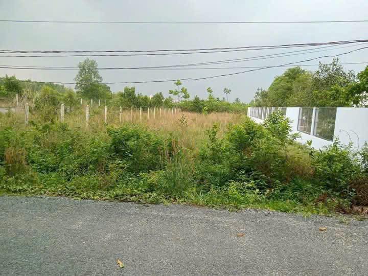 Đất thổ cư An Nhơn Tây, Củ Chi 636m² giá 4 tỷ - Đầu tư sinh lời ngay!