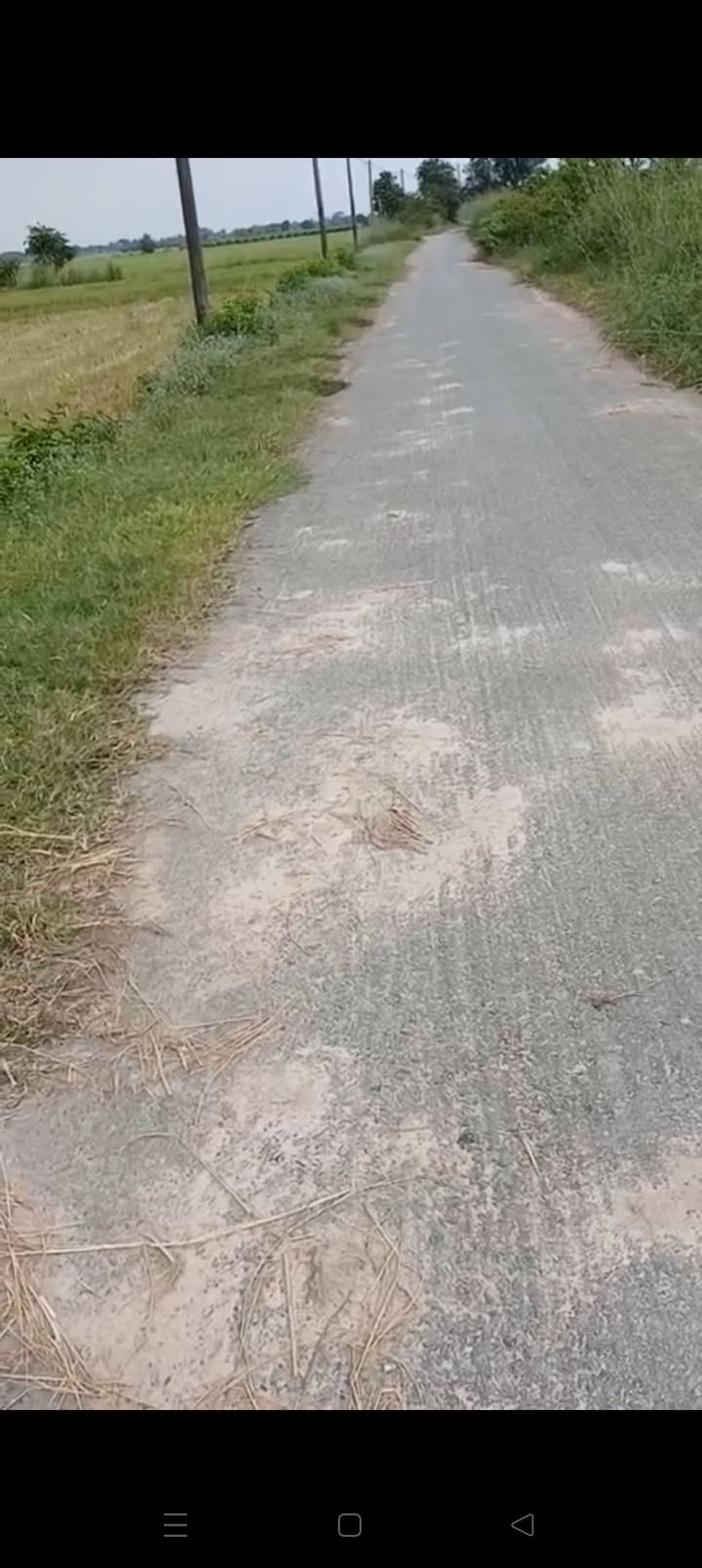 Đất nông nghiệp 2571m² xã Thái Mỹ, Củ Chi - Giá chỉ 1.3 triệu/m², thương lượng ngay!