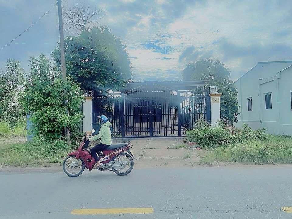 Nhà mặt tiền Nguyễn Thị Rành, Tân An Hội, Củ Chi, 259m² - Kinh doanh sầm uất!