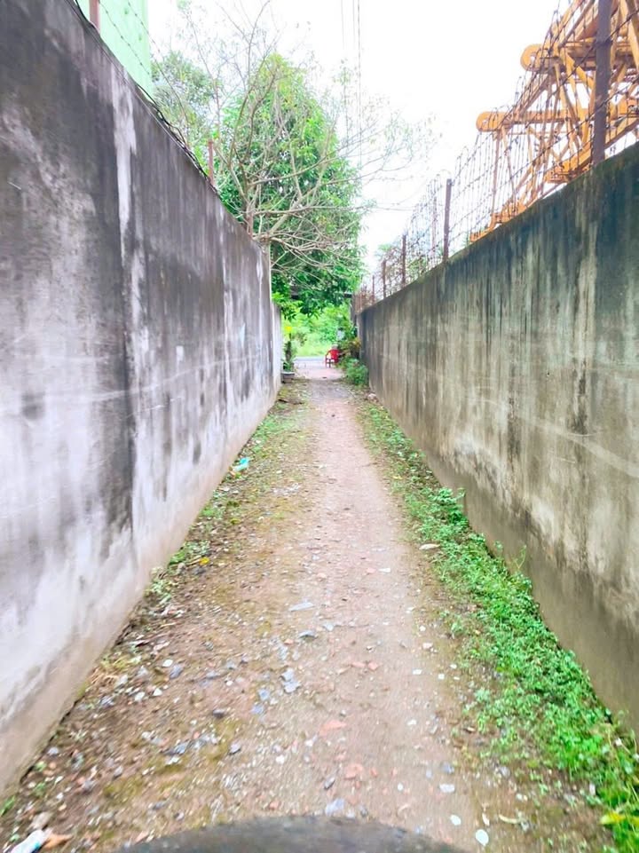 Đất nền 155m² xã Trung An, Củ Chi giá chỉ 1.22 tỷ - Đầu tư sinh lời ngay!