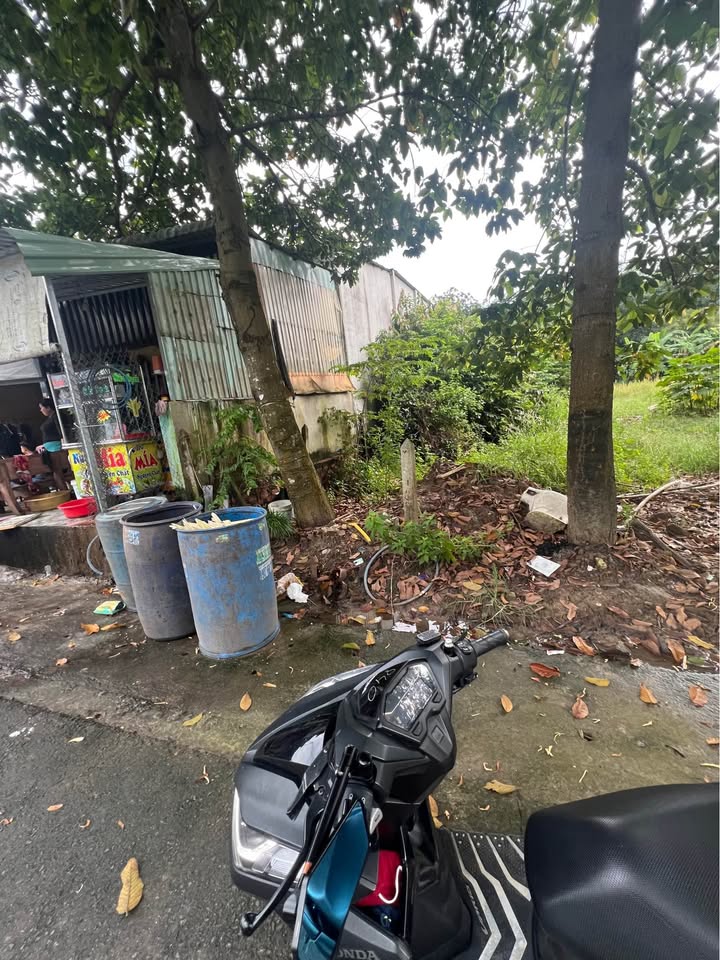 Đất mặt tiền An Tây Bến Cát 162m² giá 1.8 tỷ - Cơ hội đầu tư sinh lời!