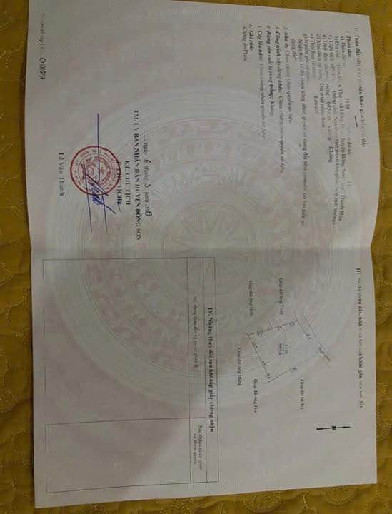 Đất thổ cư 700m² tại Đông Hòa, Đông Sơn - Mặt tiền 24m, giá đầu tư hấp dẫn!