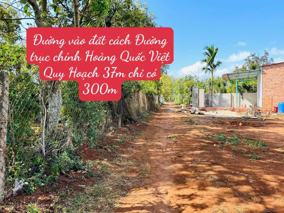 Đất thổ cư Hẻm Hoàng Quốc Việt 150m² giá 379 triệu - Cơ hội vàng cho nhà đầu tư!