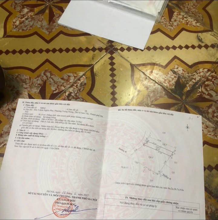 Đất nền trung tâm Sơn Tây 80m² giá chỉ 200 triệu - Sẵn sàng đầu tư!