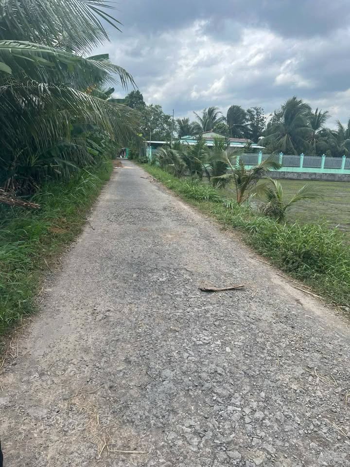 Đất nền Hiếu Phụng Vũng Liêm 200m² giá 400 triệu - Cơ hội đầu tư hấp dẫn!