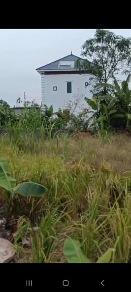 Đất nền thôn Đông Quách, Nam Hà, Tiền Hải 80m² chỉ từ 300 triệu - Cơ hội đầu tư tuyệt vời!