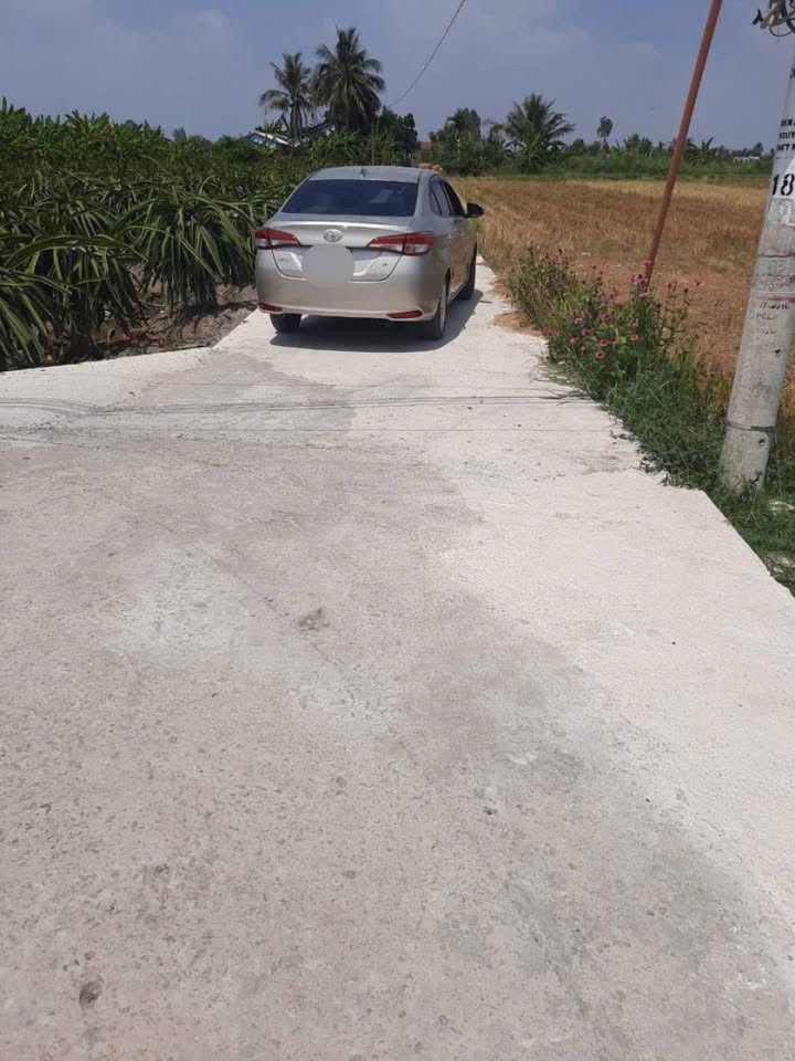 Đất nền Vàm Cỏ, Tân Trụ 4182m² giá 2.3 tỷ - Đầu tư sinh lời ngay!