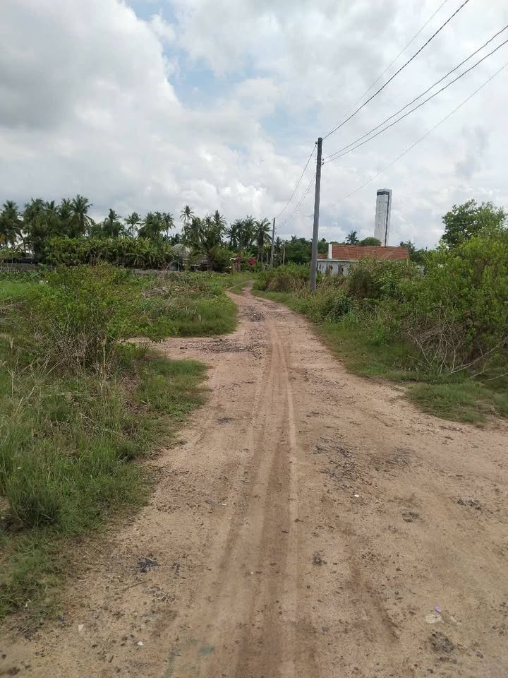 Đất nền bán gấp tại Ấp 5, Xã Phước An, Đồng Nai - Giá chỉ từ 480 triệu!