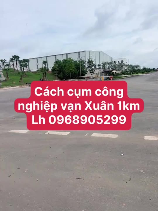 Đất nền Vạn Xuân, Tam Nông, Phú Thọ - Diện tích 130m², Sổ hồng chính chủ, Giá đầu tư hấp dẫn!