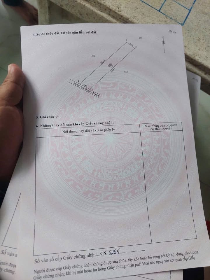 Đất thổ cư Bến Lức 265m² giá 1.25 tỷ - Đường xe hơi thuận lợi!