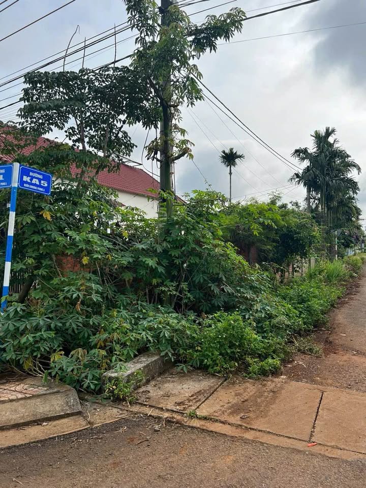 Đất góc 2 mặt tiền xã Ea Tu 103.2m² giá 3.6 tỷ - Tiềm năng đầu tư lớn!