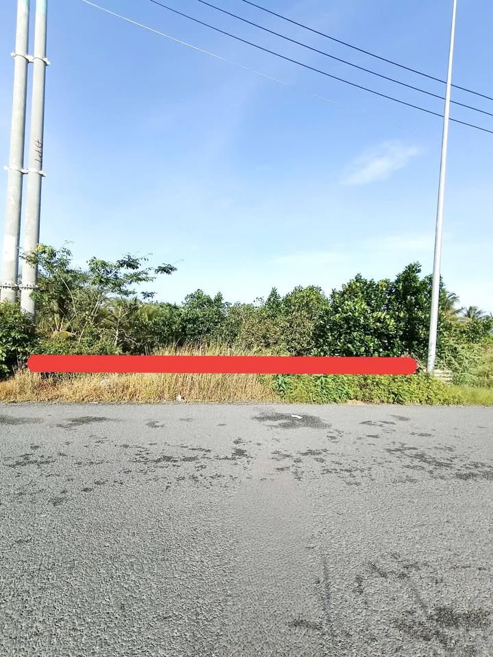 Đất lúa Mỹ An, Thủ Thừa 1.551m² giá 4.3 tỷ - Mặt tiền đường rộng, giao thông thuận lợi!