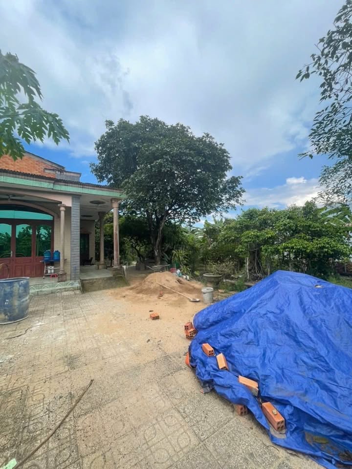 Farm cho thuê tại An Viễn, Trảng Bom 3000m² giá 4 triệu - Thích hợp làm khu nghỉ dưỡng!