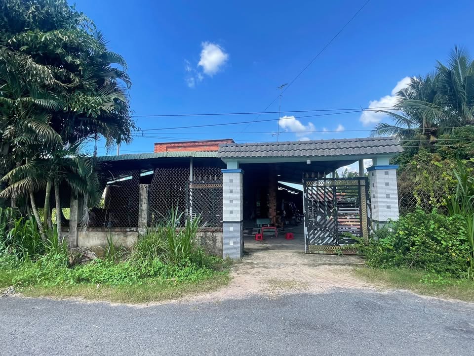 Nhà cấp 4 Gò Dầu 486m² giá 2 tỷ - Mặt tiền đường nhựa thông thoáng