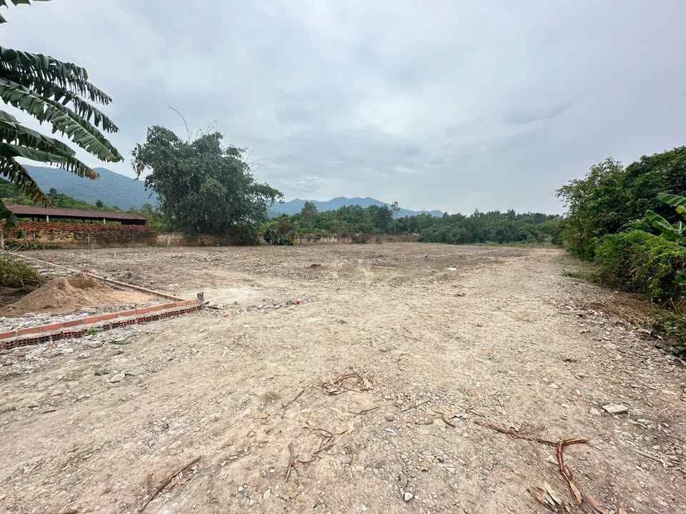 Đất thổ cư 90m² tại Tân Trung, Phú Mỹ chỉ 265 triệu - Cơ hội đầu tư tuyệt vời!