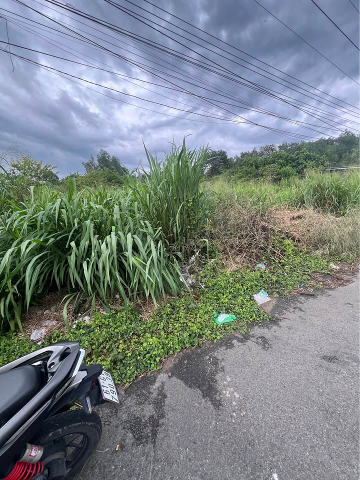 Đất nền An Tây Bến Cát 753m² giá 3.25 tỷ - Mặt tiền đường nhựa rộng 8m