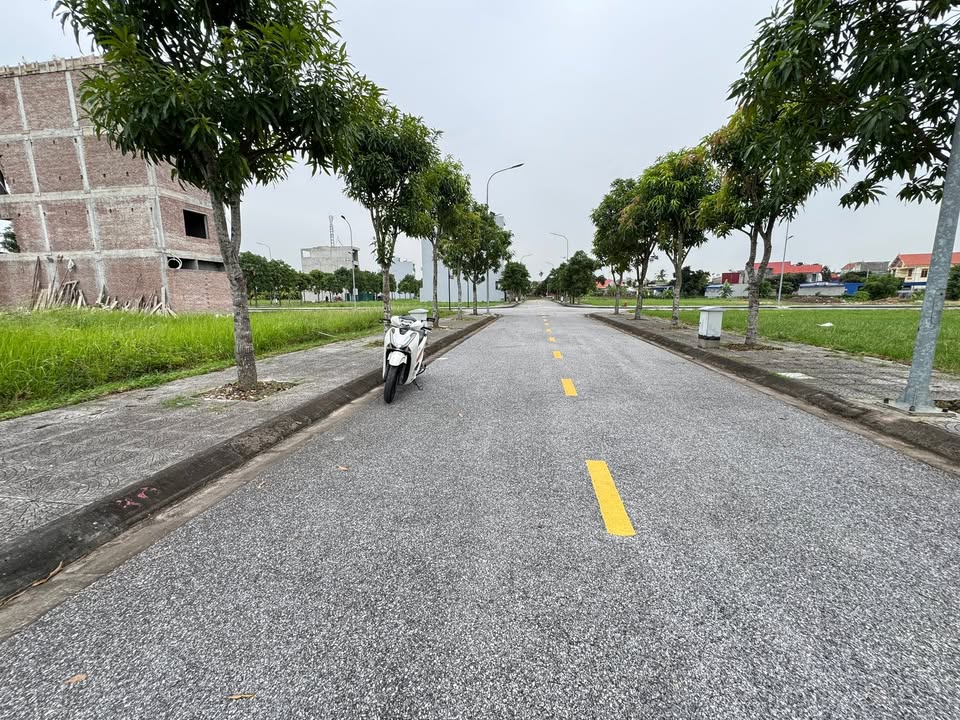 Lô đất 75m² tại khu đô thị xanh Tân Quang Minh Thủy Nguyên - Đầu tư sinh lời, giá chỉ 3 tỷ!