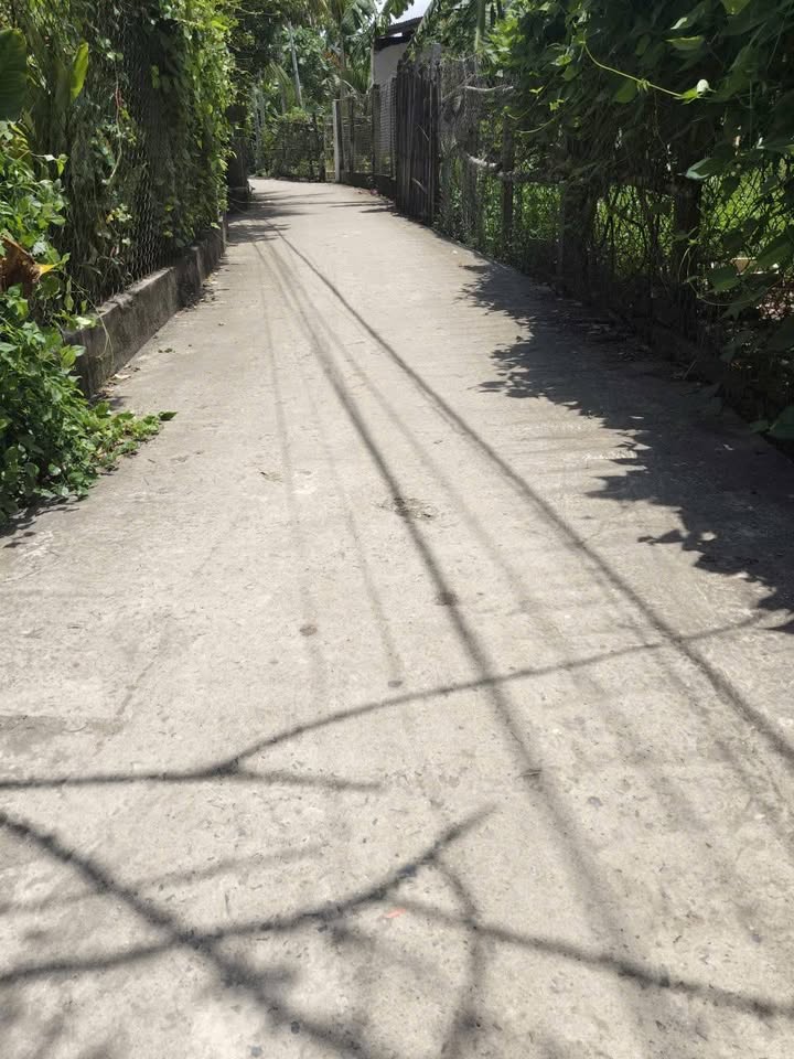 Nhà bán 126m² tại Tân Long 2, Mỏ Cày Bắc - Giá 800 triệu, thương lượng!