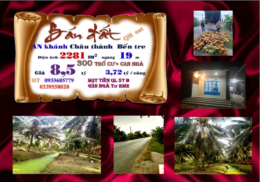 Đất An Khánh Châu Thành Bến Tre 2281m² giá 8.5 tỷ - Tiềm năng đầu tư lớn!