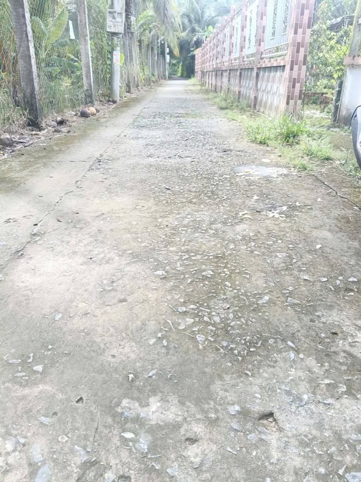 Đất nền Tân Thạch, Châu Thành, Bến Tre 1092m² - Giá chỉ 2.1 tỷ, thương lượng!